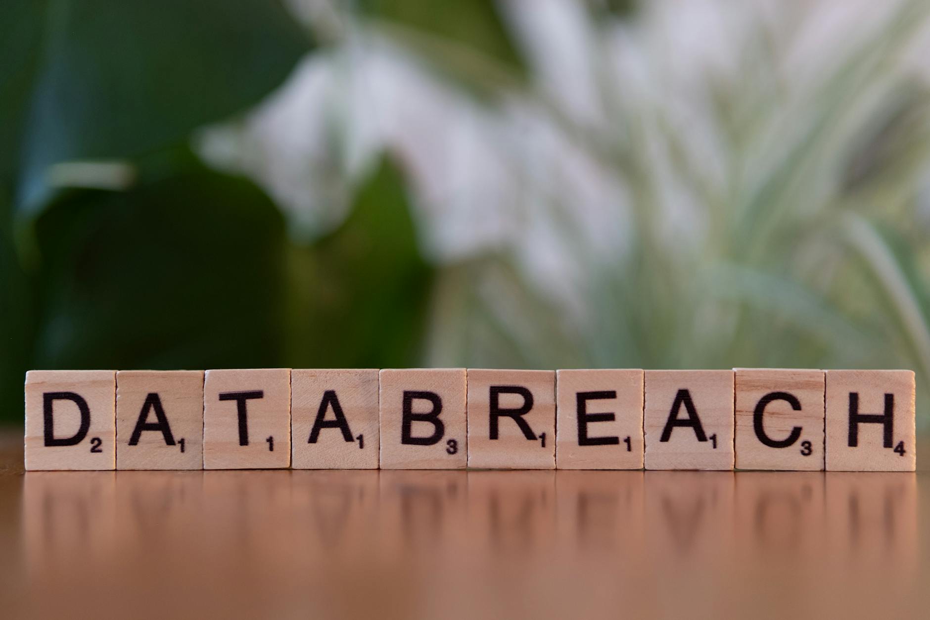 Kafelki Scrabble tworzące napis data breach na rozmytym tle
