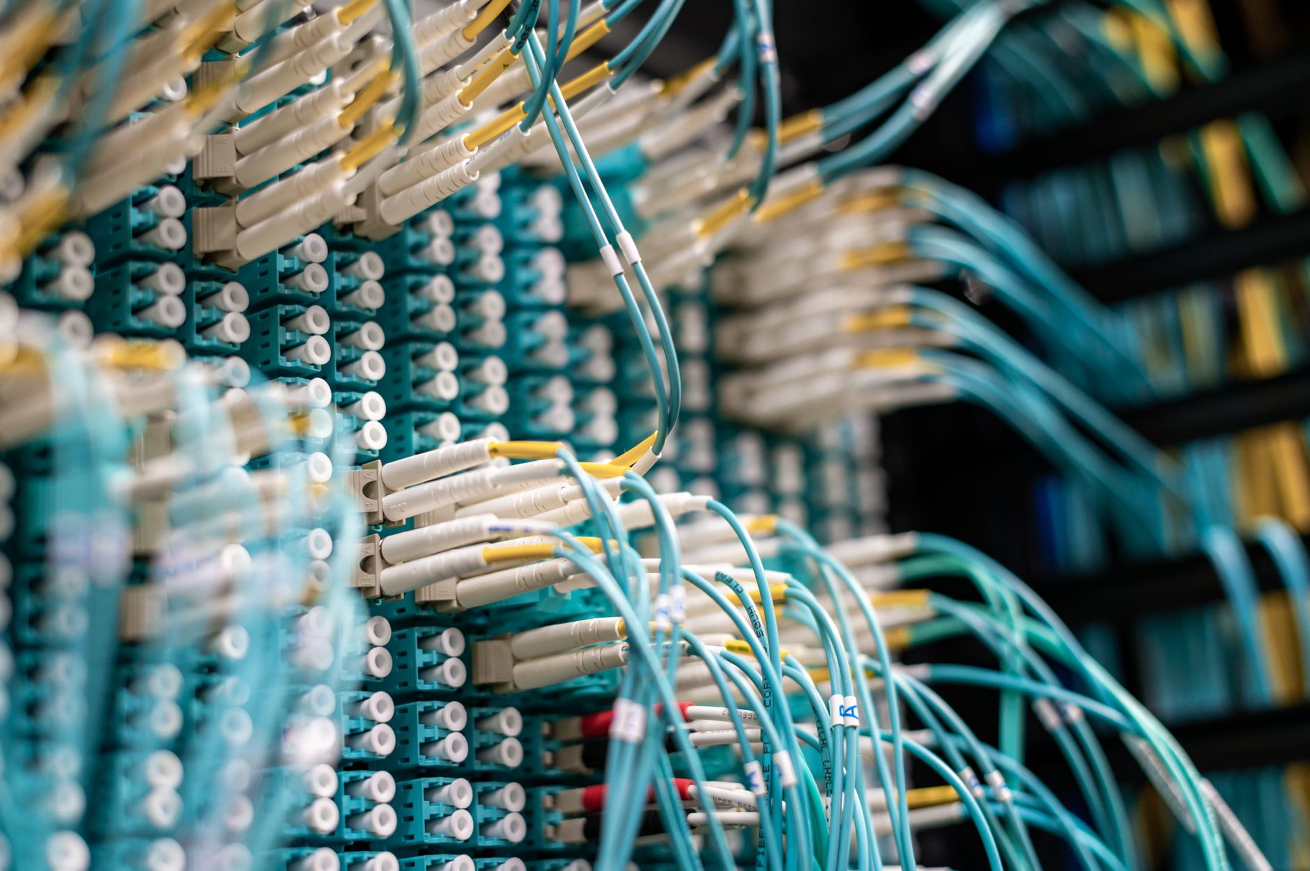 Niebieskie kable sieciowe podłączone do złączy w centrum danych Niebieskie kable sieciowe podłączone do złączy w centrum danych